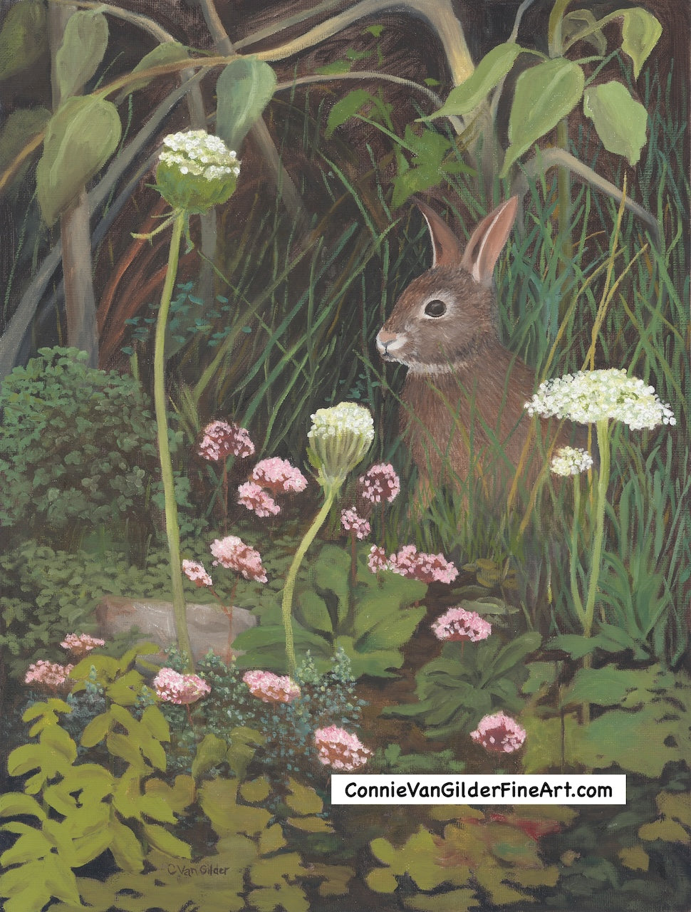 Cautious Optimism